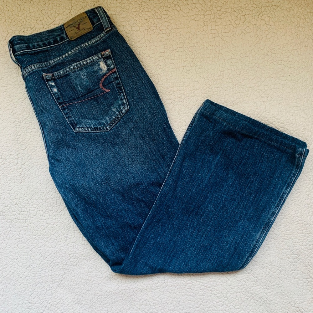 American Eagle Plus Size Jeans. They are 14 short.
